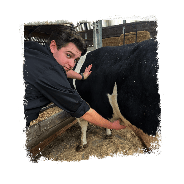 maison_blancke_beste_vlees_4